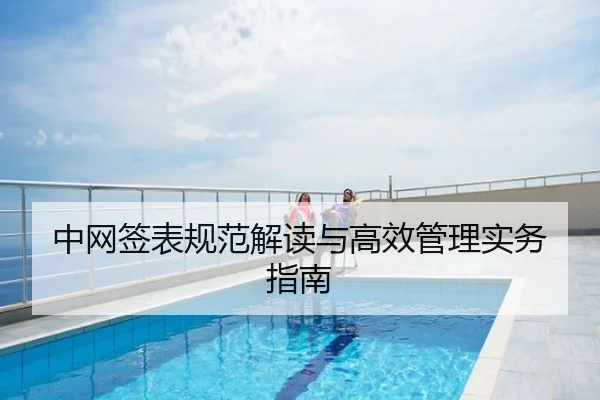 中网签表规范解读与高效管理实务指南