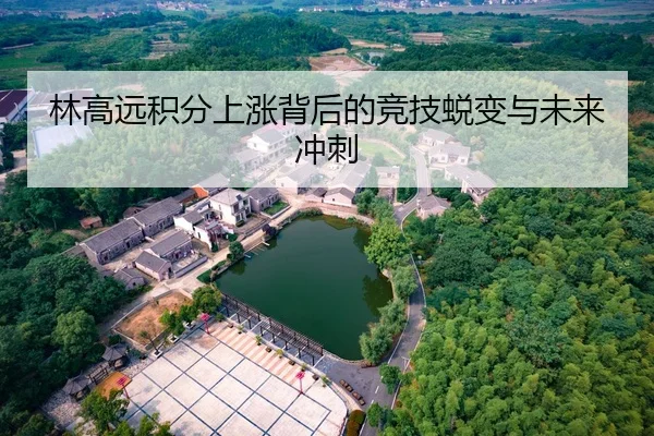 林高远积分上涨背后的竞技蜕变与未来冲刺